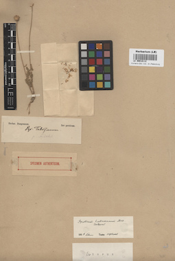 LE 00018112