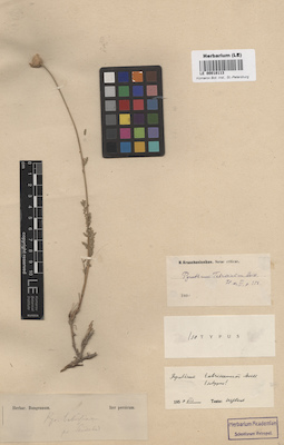 LE 00018113