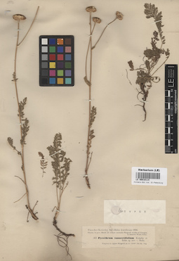 LE 00018114