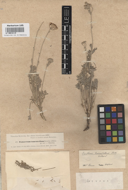 LE 00018119