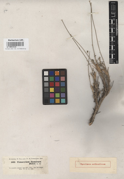 LE 00018122