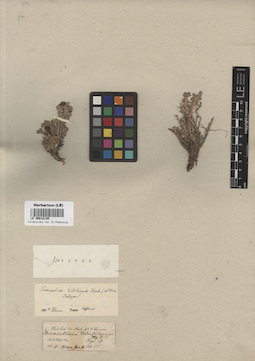 LE 00018130