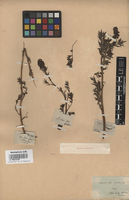 LE 00018140