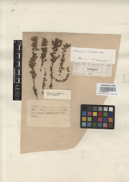 LE 00018141