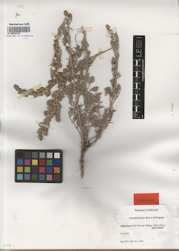 LE 00018143