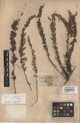 LE 00018144