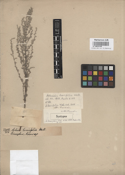 LE 00018146