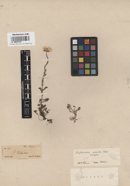 LE 00018147