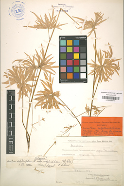 LE 01035015