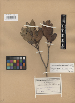 LE 00016100