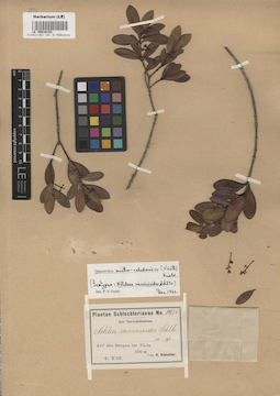 LE 00016103