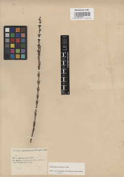 LE 00016135