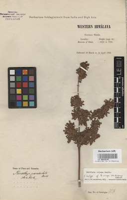 LE 00016143