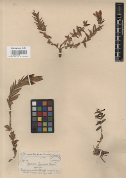 LE 00016149
