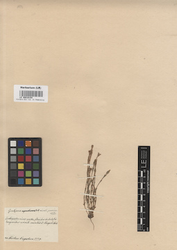 LE 00016154