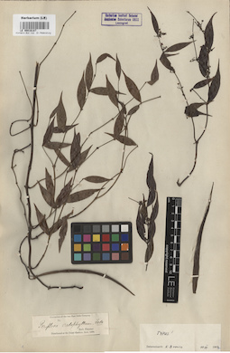 LE 00016187