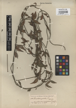 LE 00016190