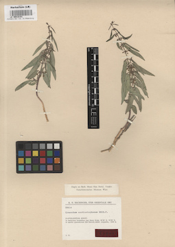 LE 00016191