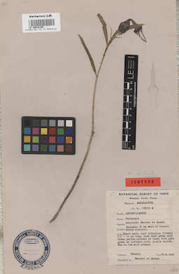 LE 00016195