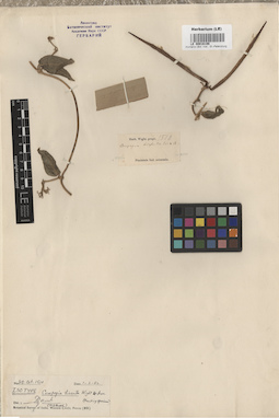LE 00016198