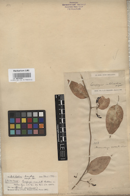 LE 00016201