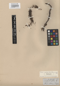 LE 00016225