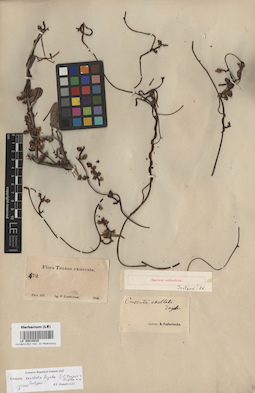 LE 00016228