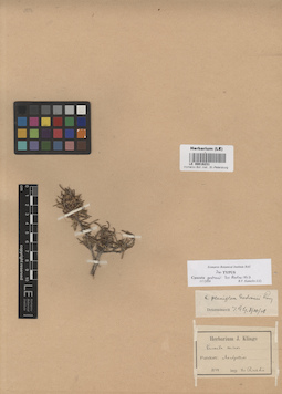 LE 00016231