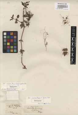 LE 00016232