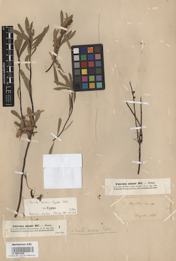 LE 00016236