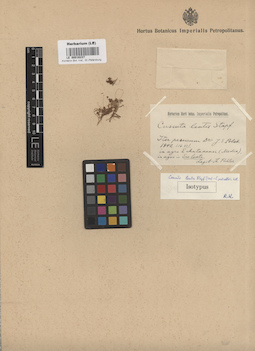 LE 00016237