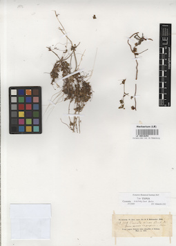 LE 00016254