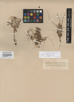 LE 00016255