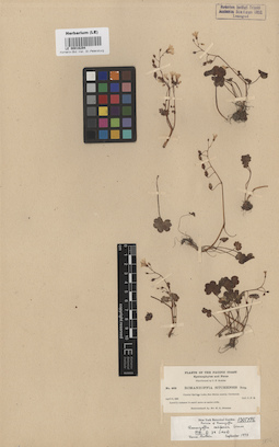LE 00016294