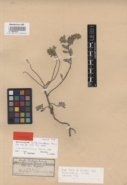 LE 00016314