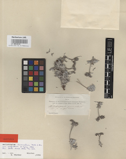 LE 00016315