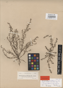 LE 00016316