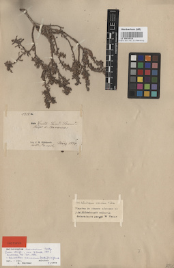 LE 00016318