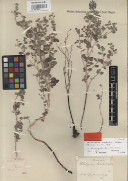 LE 00016322