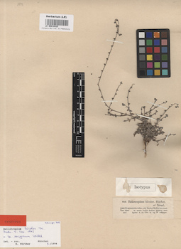 LE 00016325