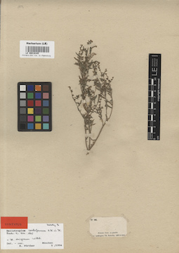 LE 00016345