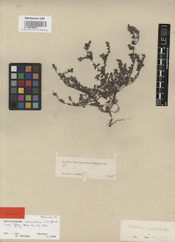 LE 00016349