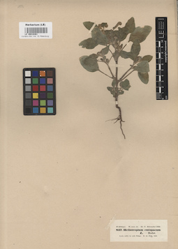 LE 00016361