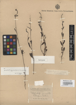 LE 00016363