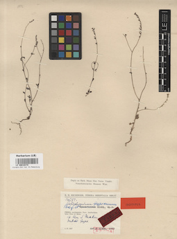 LE 00016370