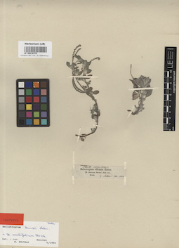 LE 00016376