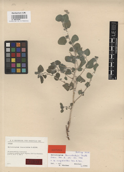 LE 00016380