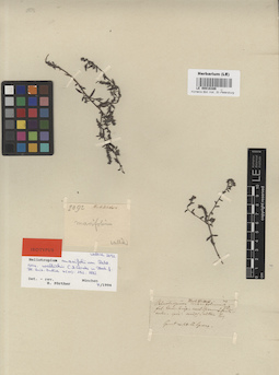 LE 00016386