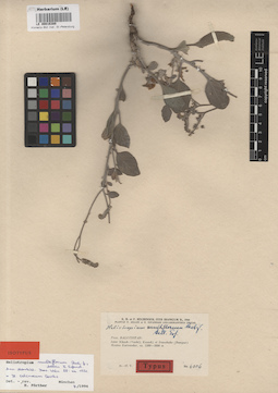 LE 00016389