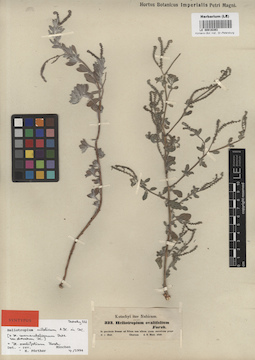 LE 00016393